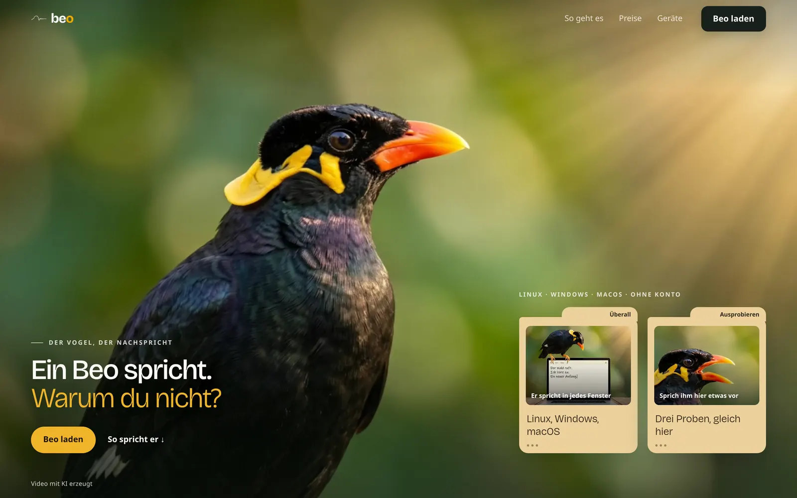 Startseite von Beo am Desktop