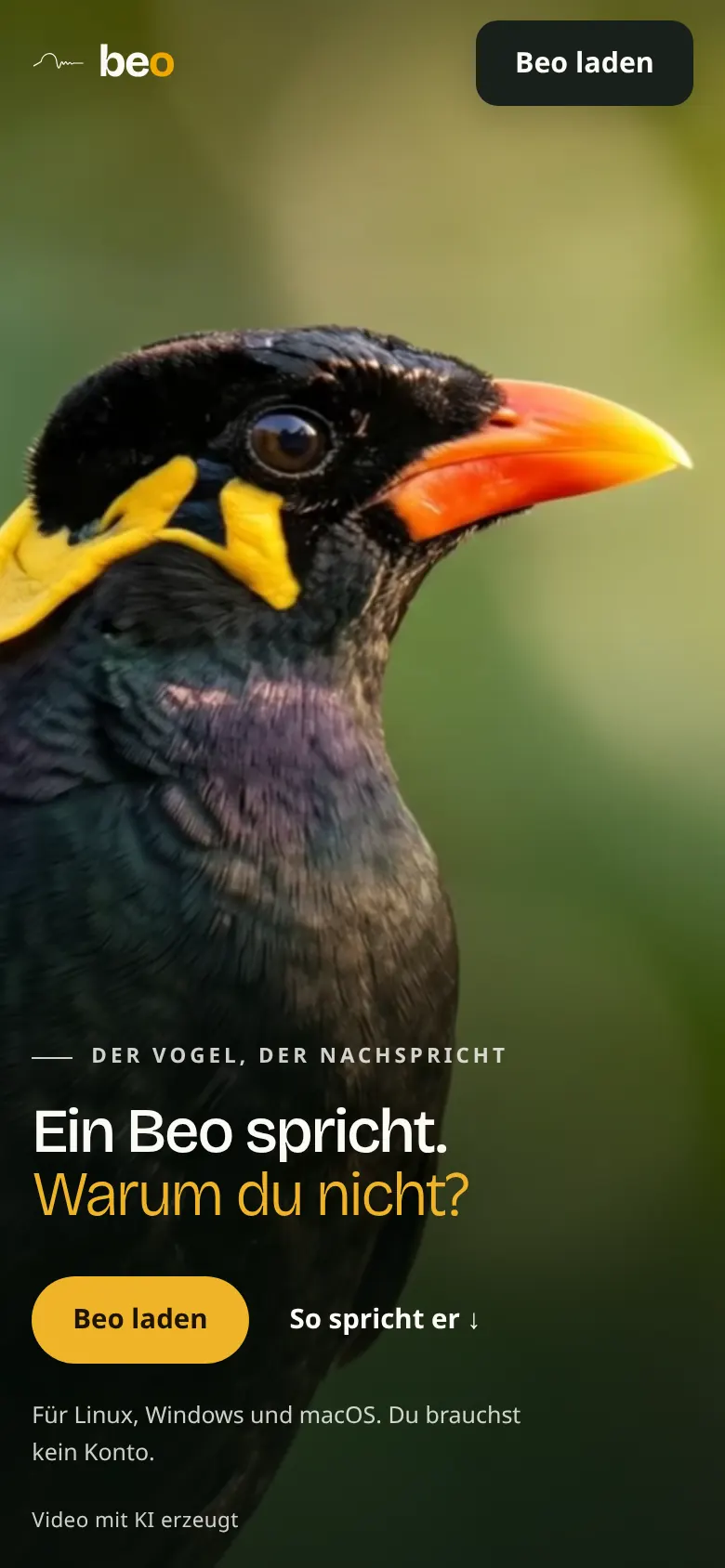 Beo auf dem Handy